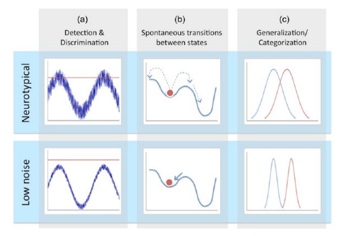 Infographic summarizing lower neural noise in autism